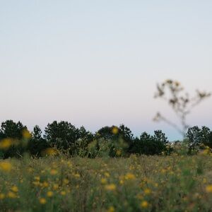 Meet your Posher, Misty